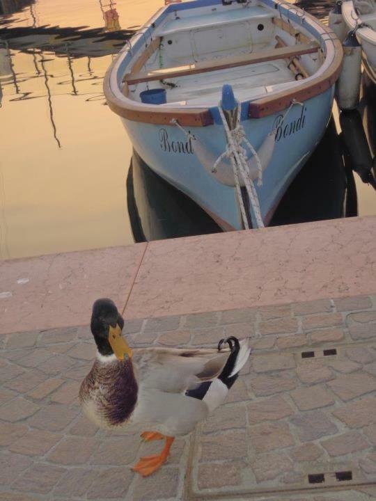Hotel Casablanca Lazise Bagian luar foto